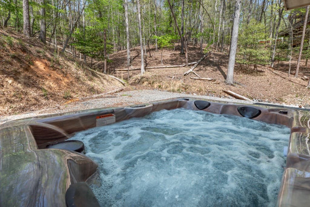 164 Echo Lane, Ellijay GA 30540 - Photo