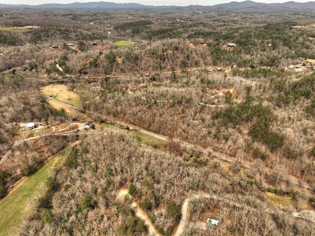 Lt 54-56 Black Gum Ii & Iii, Blue Ridge GA 30513 - Photo