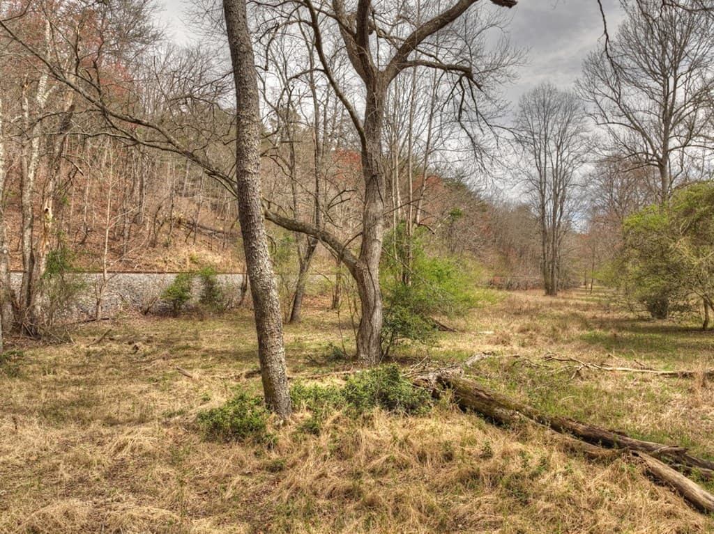 Lt 54-56 Black Gum Ii & Iii, Blue Ridge GA 30513 - Photo