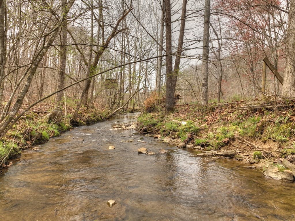 Lt 54-56 Black Gum Ii & Iii, Blue Ridge GA 30513 - Photo