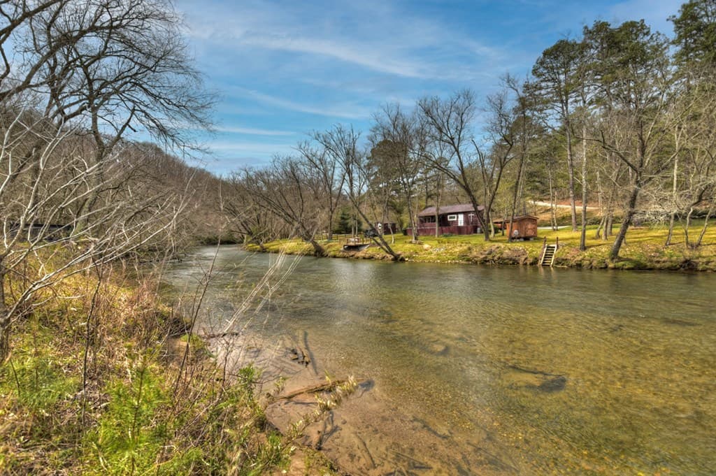 Lt 54-56 Black Gum Ii & Iii, Blue Ridge GA 30513 - Photo