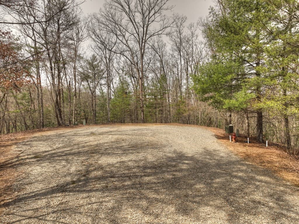 Lt 54-56 Black Gum Ii & Iii, Blue Ridge GA 30513 - Photo