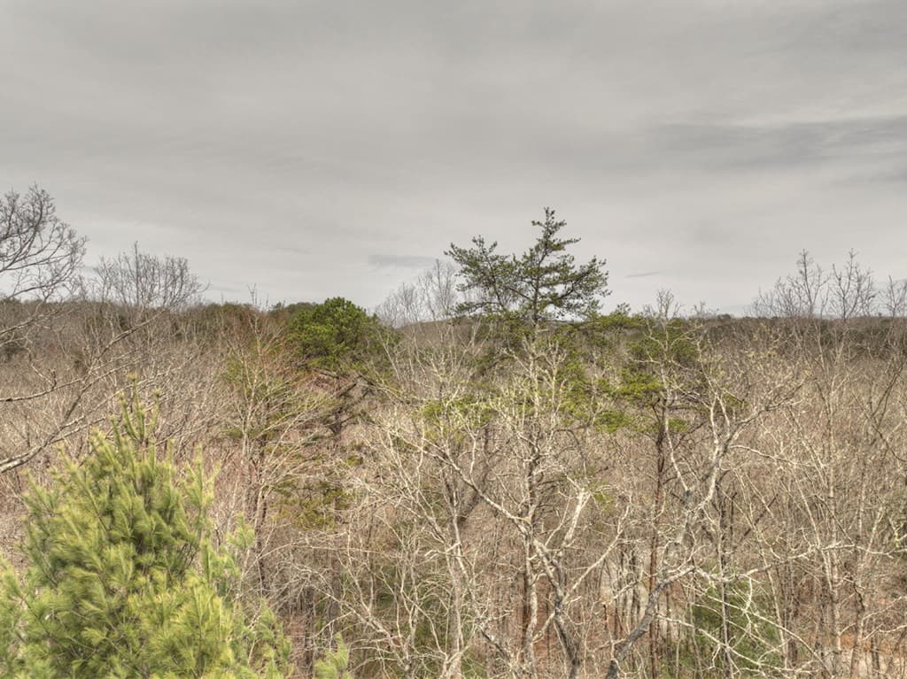Lt 54-56 Black Gum Ii & Iii, Blue Ridge GA 30513 - Photo