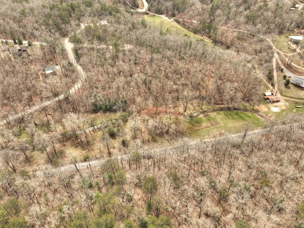 Lt 54-56 Black Gum Ii & Iii, Blue Ridge GA 30513 - Photo