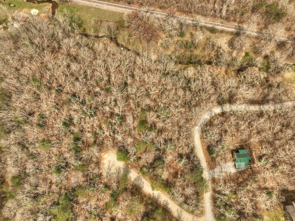 Lt 54-56 Black Gum Ii & Iii, Blue Ridge GA 30513 - Photo