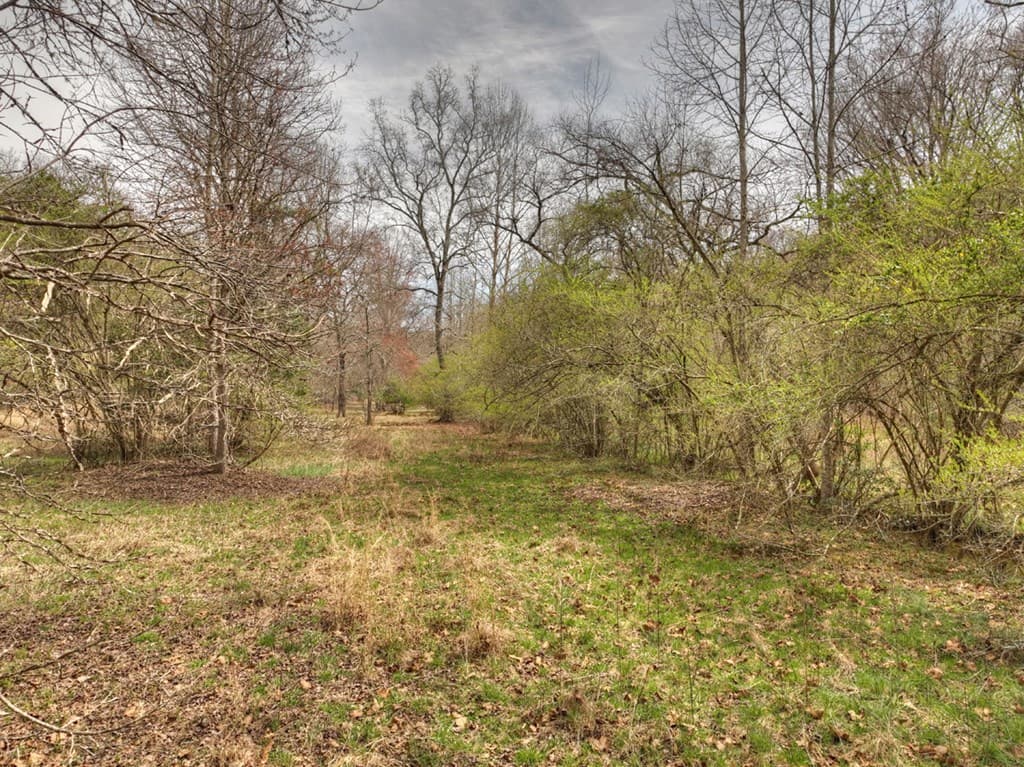 Lt 54-56 Black Gum Ii & Iii, Blue Ridge GA 30513 - Photo