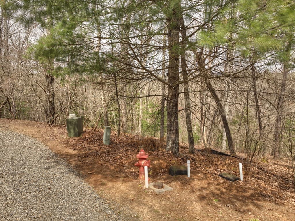 Lt 54-56 Black Gum Ii & Iii, Blue Ridge GA 30513 - Photo