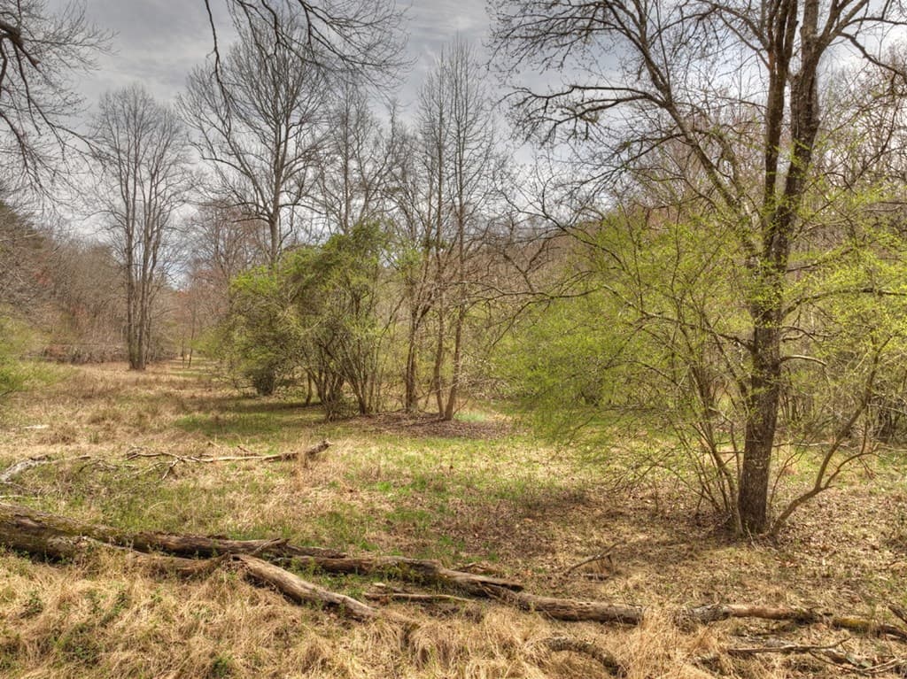 Lt 54-56 Black Gum Ii & Iii, Blue Ridge GA 30513 - Photo