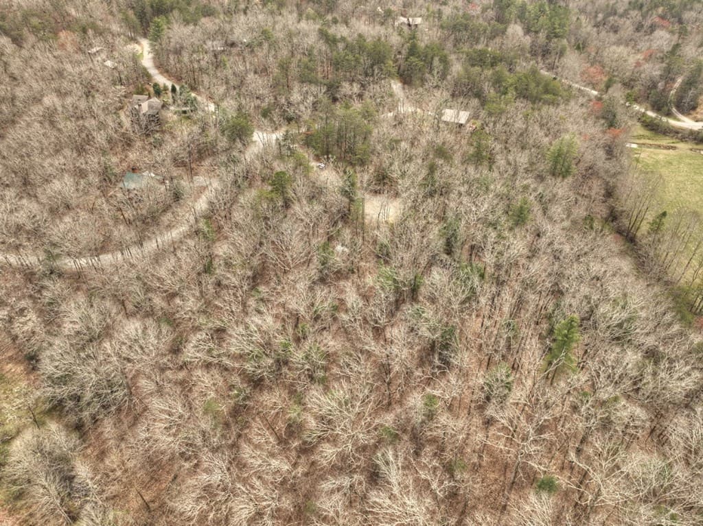 Lt 54-56 Black Gum Ii & Iii, Blue Ridge GA 30513 - Photo