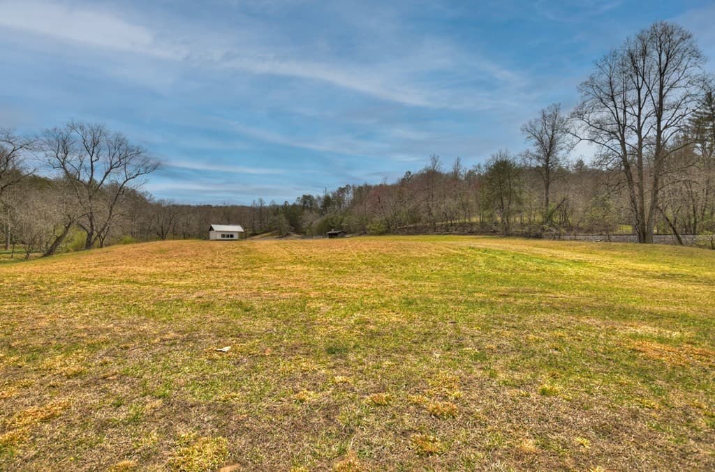 Lt 54-56 Black Gum Ii & Iii, Blue Ridge GA 30513 - Photo