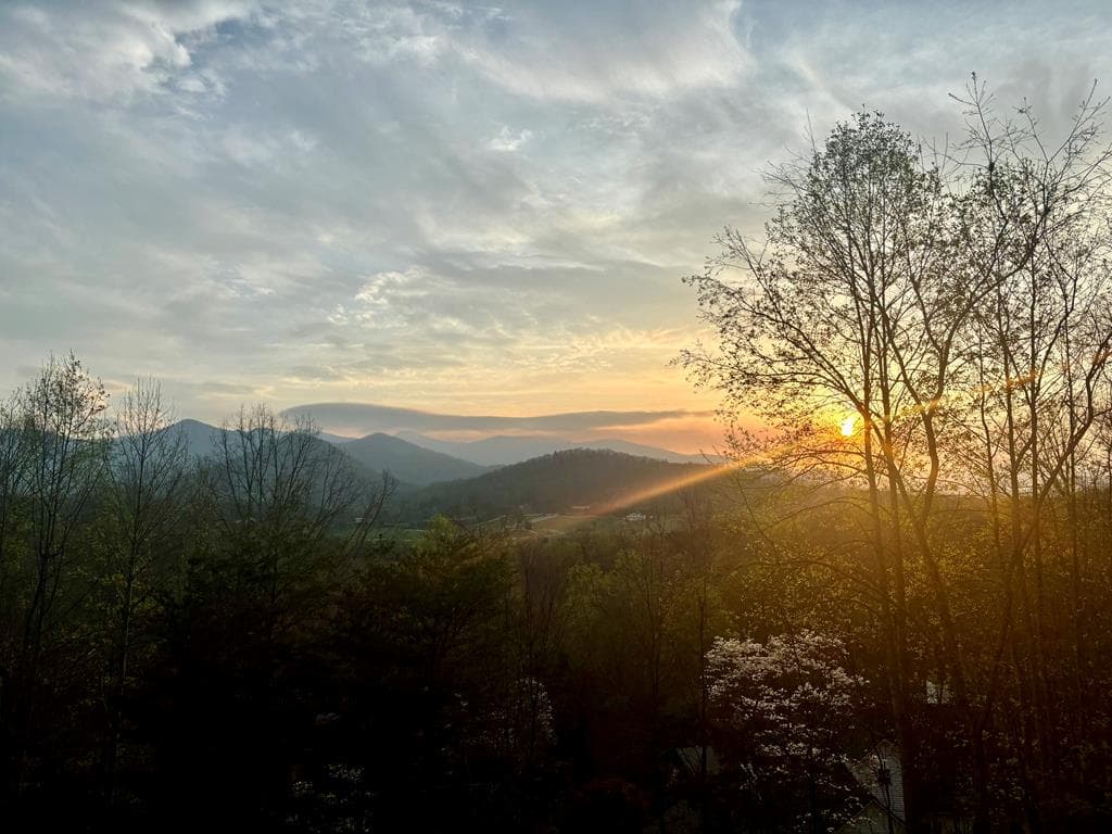 315 Wildwood Brook, Blairsville GA 30512 - Photo
