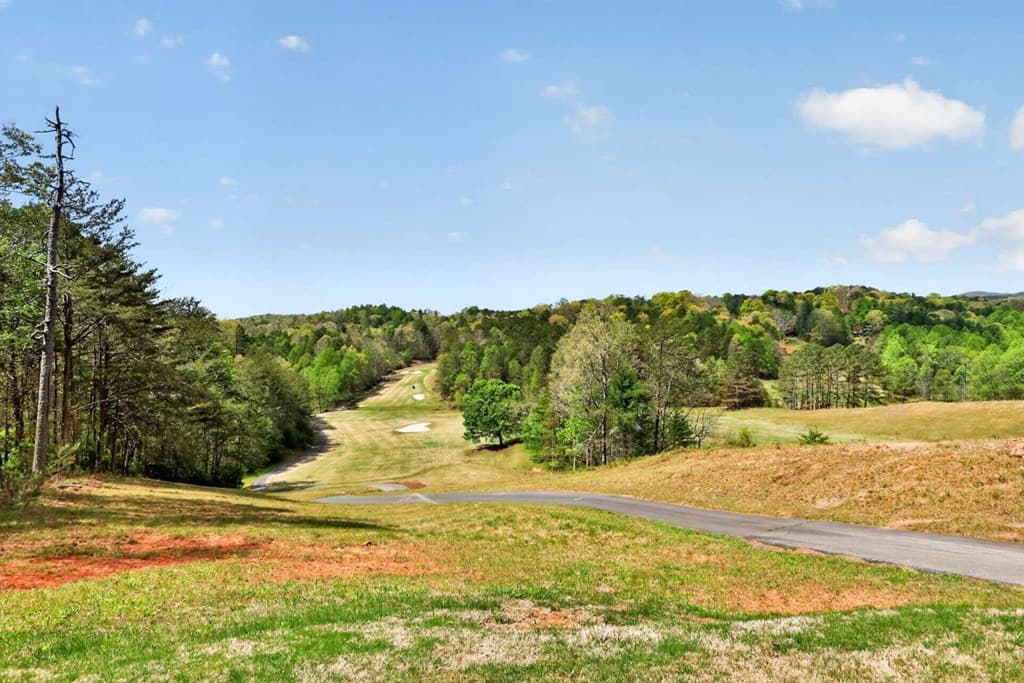 95 Sapulpa Court, Ellijay GA 30540 - Photo