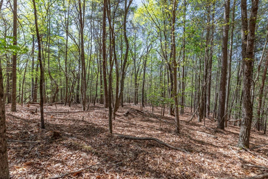 Lot 253 The Cove @ 1300, Blairsville GA 30512 - Photo