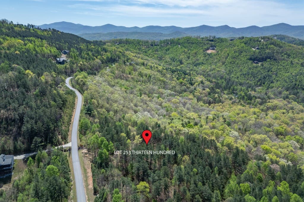 Lot 253 The Cove @ 1300, Blairsville GA 30512 - Photo