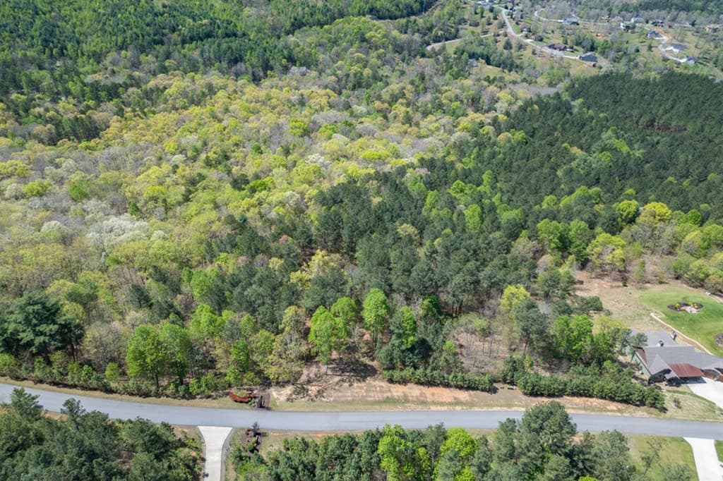 Lot 253 The Cove @ 1300, Blairsville GA 30512 - Photo