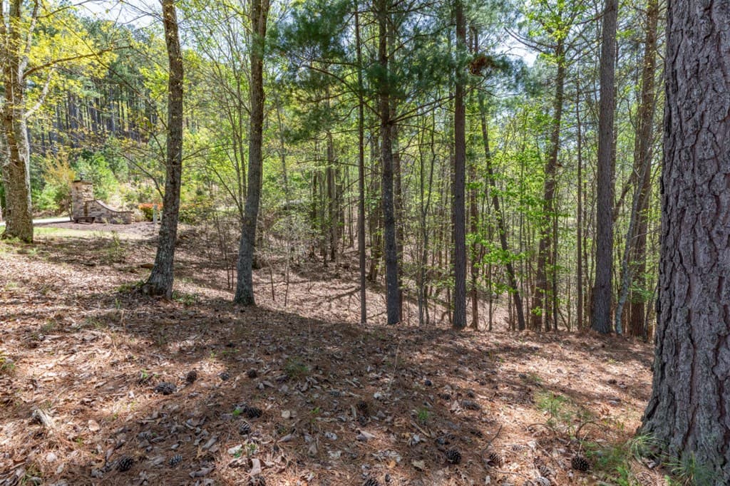 Lot 253 The Cove @ 1300, Blairsville GA 30512 - Photo