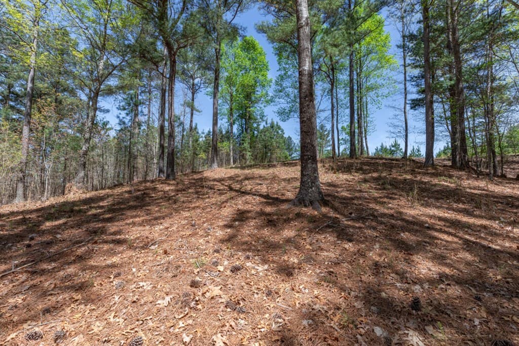 Lot 253 The Cove @ 1300, Blairsville GA 30512 - Photo
