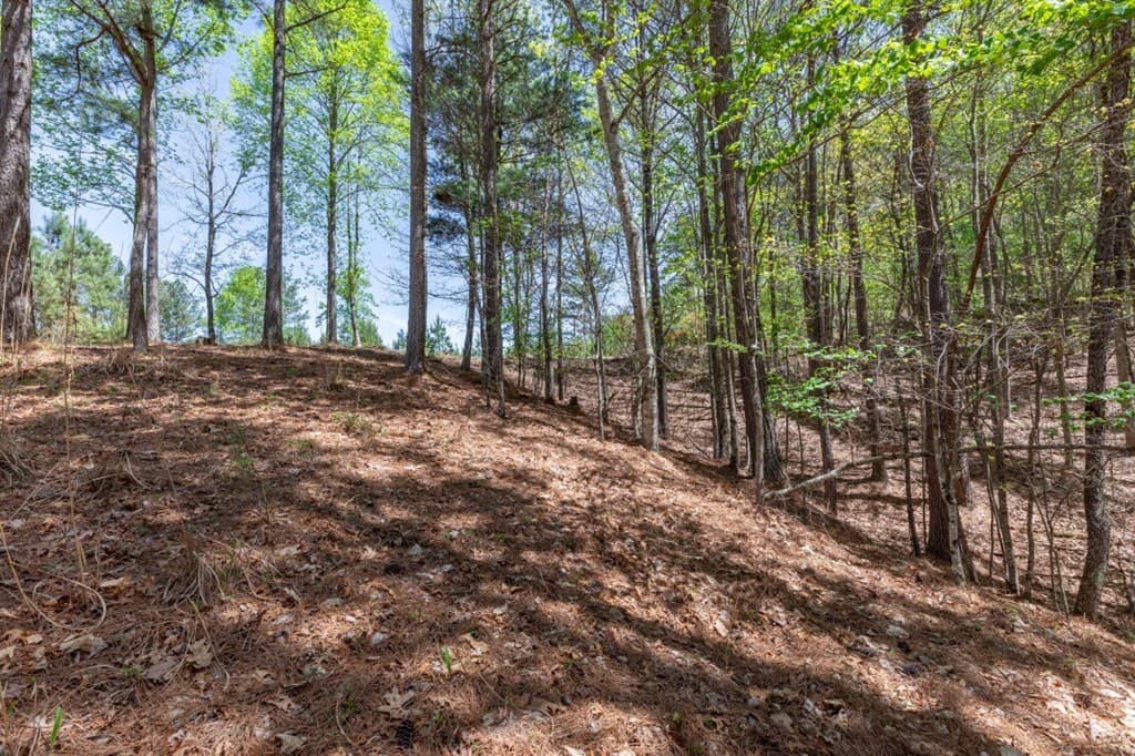 Lot 253 The Cove @ 1300, Blairsville GA 30512 - Photo