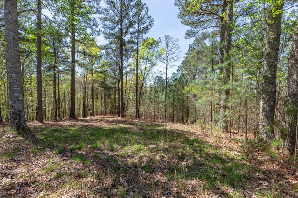 Lot 253 The Cove @ 1300, Blairsville GA 30512 - Photo