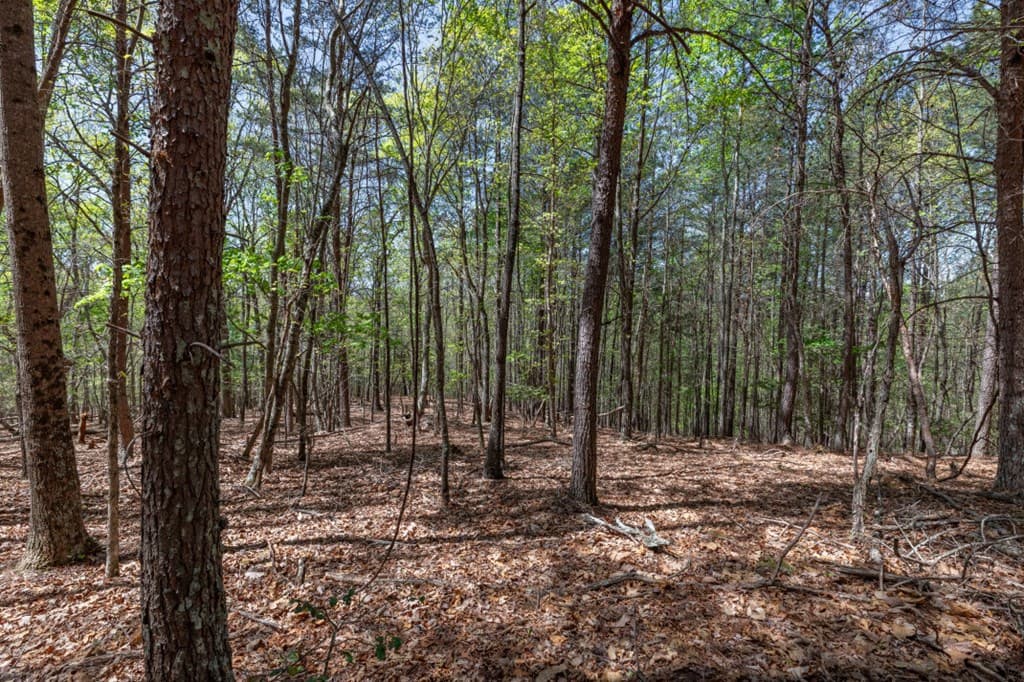 Lot 253 The Cove @ 1300, Blairsville GA 30512 - Photo