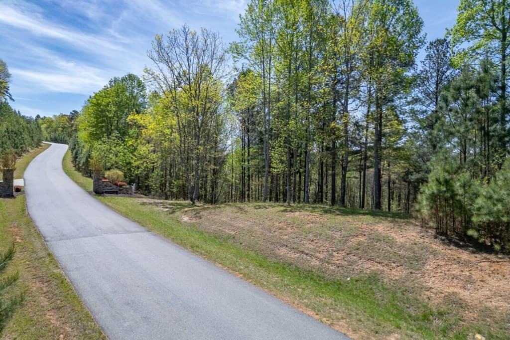 Lot 253 The Cove @ 1300, Blairsville GA 30512 - Photo