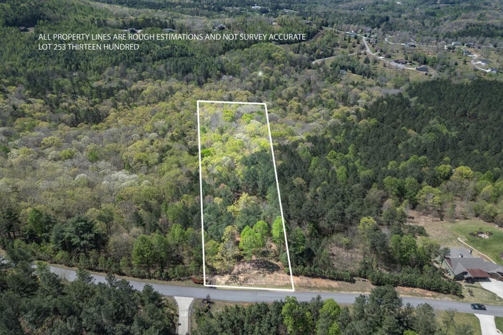 Lot 253 The Cove @ 1300, Blairsville GA 30512 - Primary photo