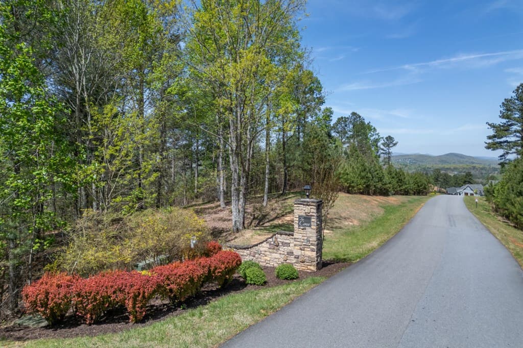 Lot 253 The Cove @ 1300, Blairsville GA 30512 - Photo