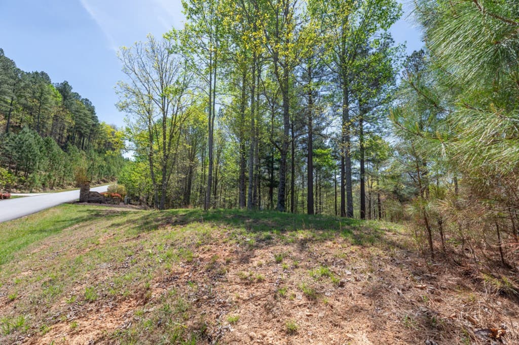 Lot 253 The Cove @ 1300, Blairsville GA 30512 - Photo