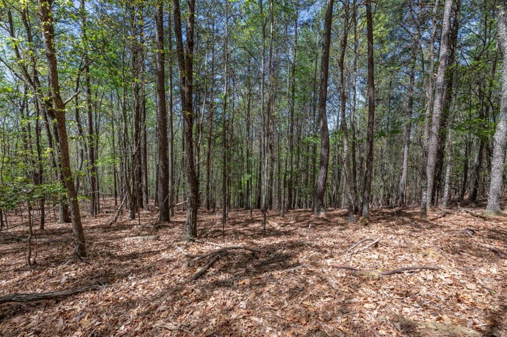 Lot 253 The Cove @ 1300, Blairsville GA 30512 - Photo