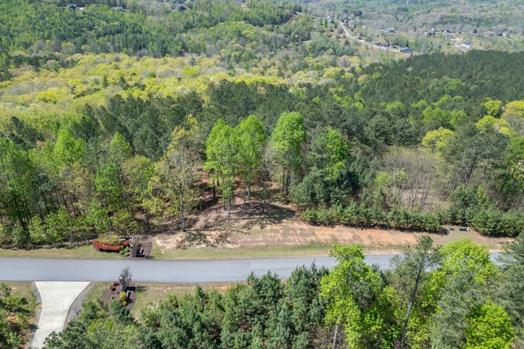 Lot 253 The Cove @ 1300, Blairsville GA 30512 - Photo