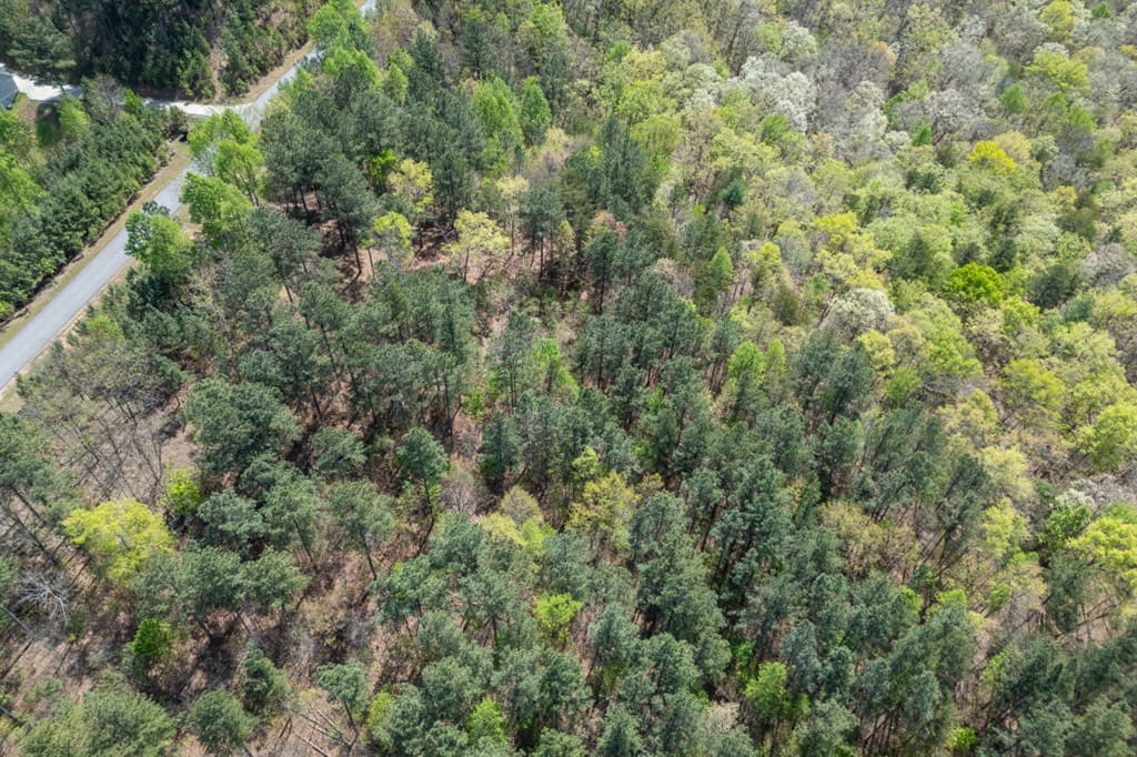 Lot 253 The Cove @ 1300, Blairsville GA 30512 - Photo