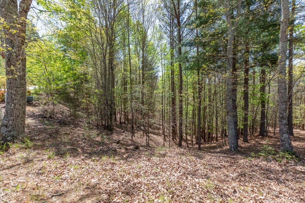 Lot 253 The Cove @ 1300, Blairsville GA 30512 - Photo