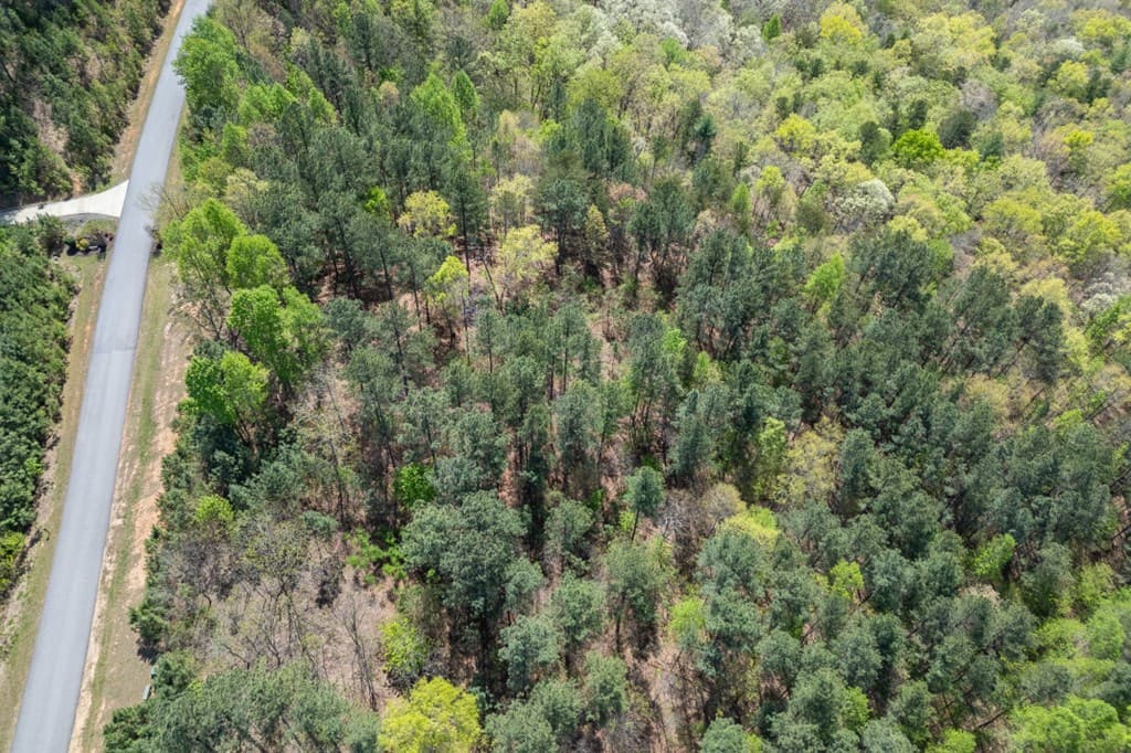 Lot 253 The Cove @ 1300, Blairsville GA 30512 - Photo