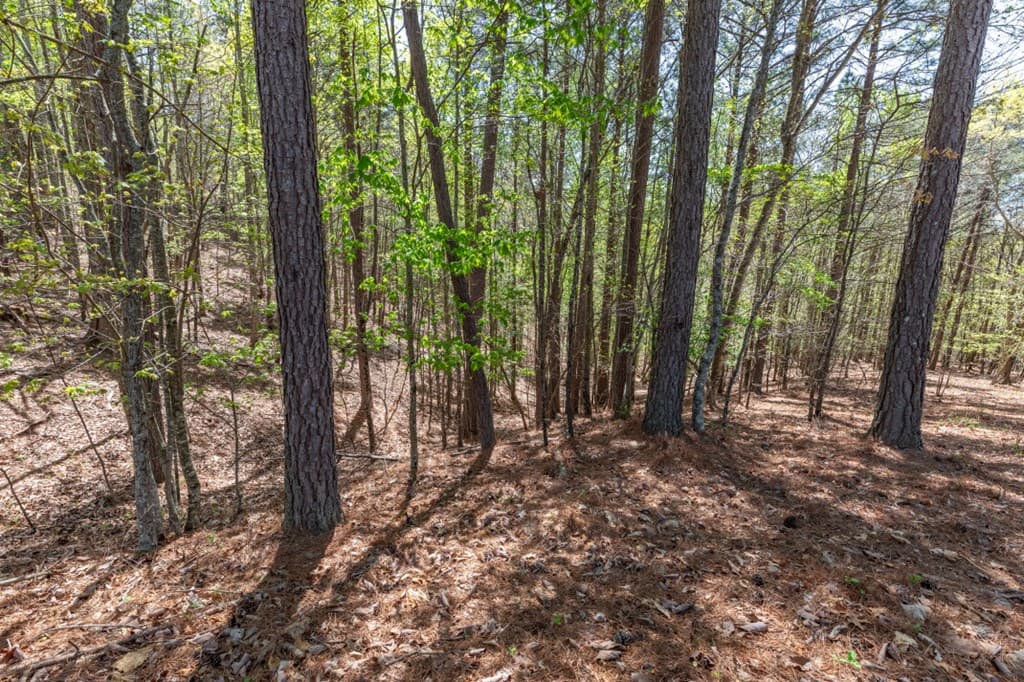 Lot 253 The Cove @ 1300, Blairsville GA 30512 - Photo