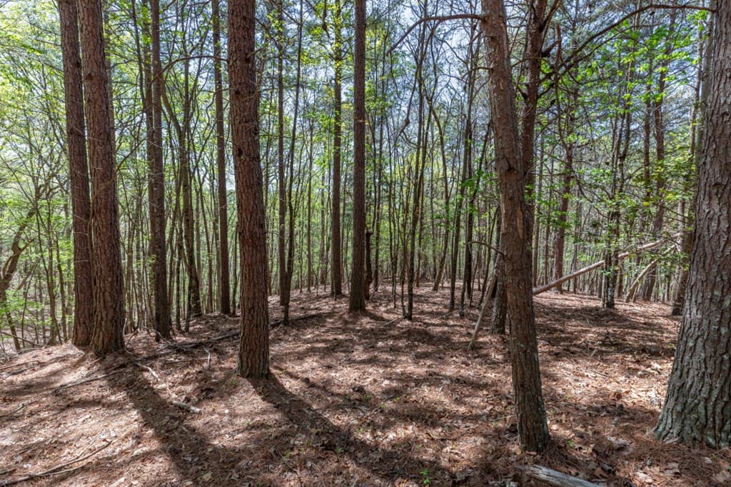 Lot 253 The Cove @ 1300, Blairsville GA 30512 - Photo