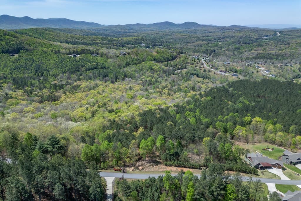 Lot 253 The Cove @ 1300, Blairsville GA 30512 - Photo