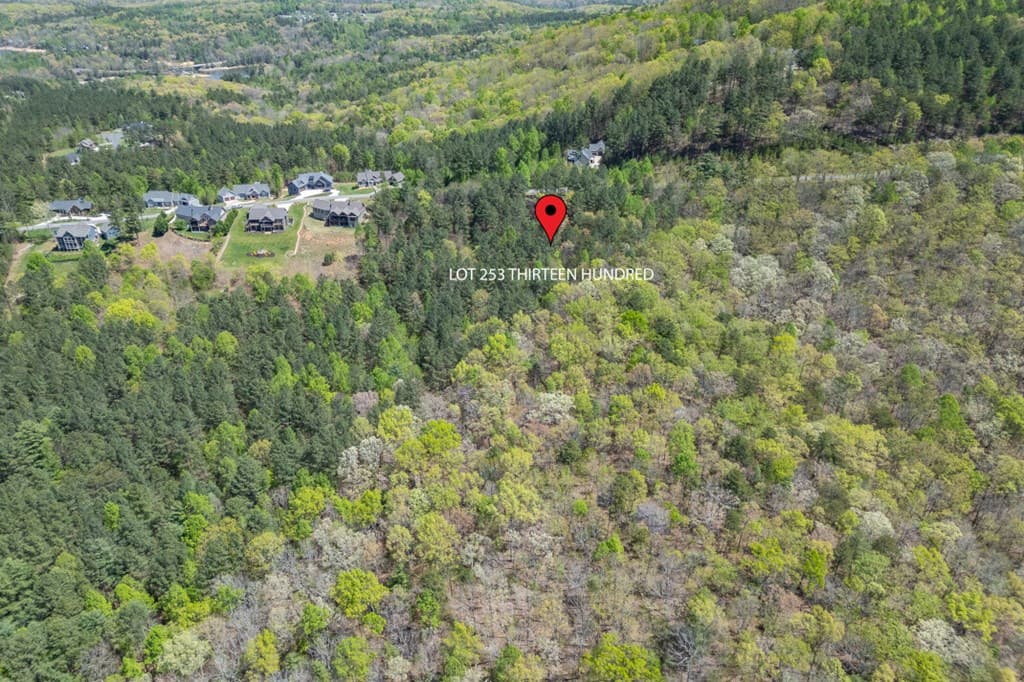 Lot 253 The Cove @ 1300, Blairsville GA 30512 - Photo