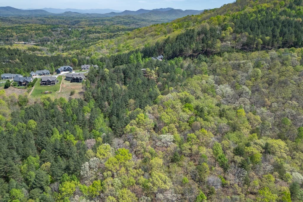 Lot 253 The Cove @ 1300, Blairsville GA 30512 - Photo