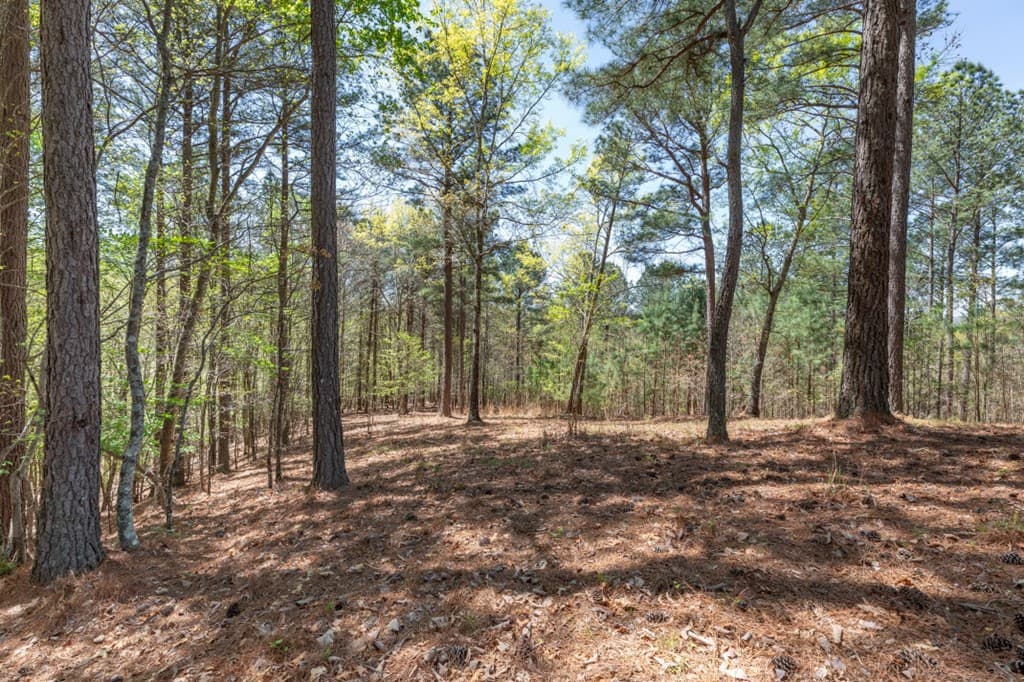 Lot 253 The Cove @ 1300, Blairsville GA 30512 - Photo