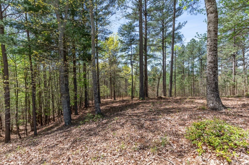 Lot 253 The Cove @ 1300, Blairsville GA 30512 - Photo