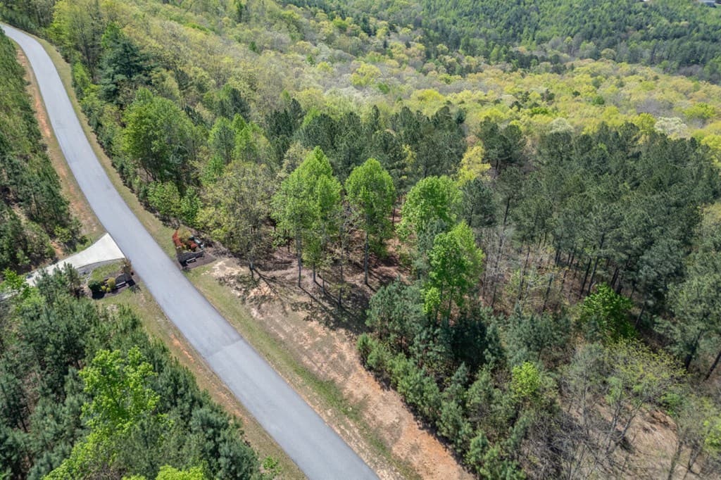 Lot 253 The Cove @ 1300, Blairsville GA 30512 - Photo