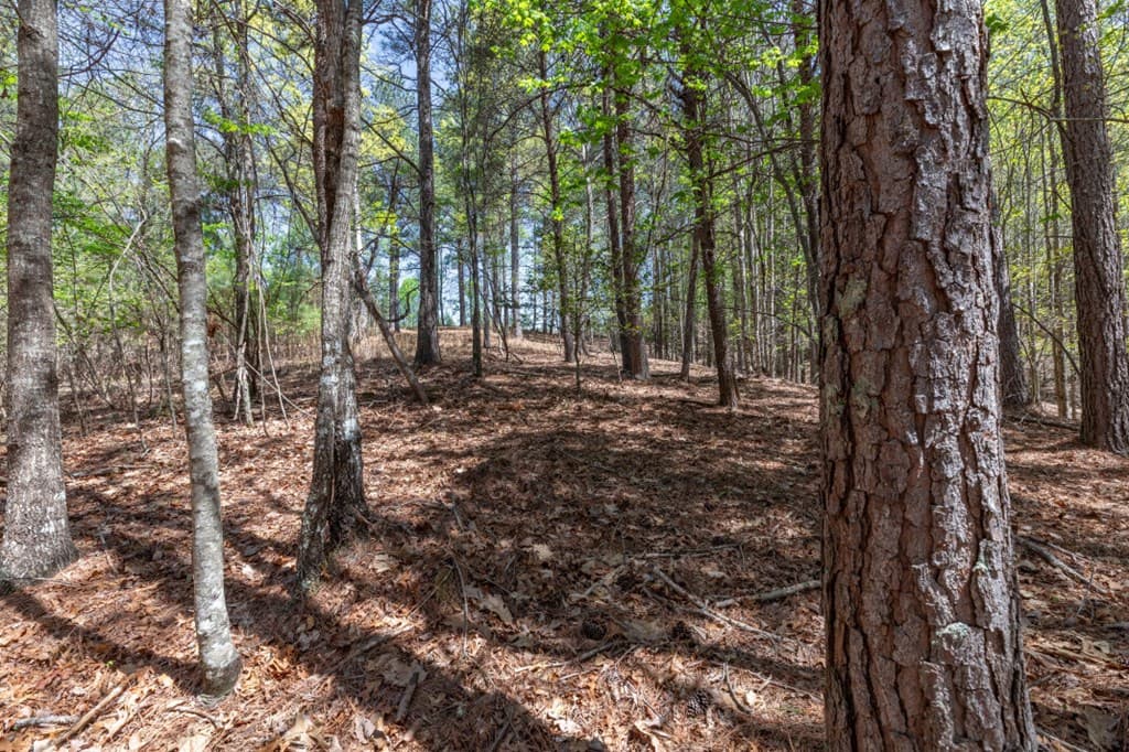 Lot 253 The Cove @ 1300, Blairsville GA 30512 - Photo