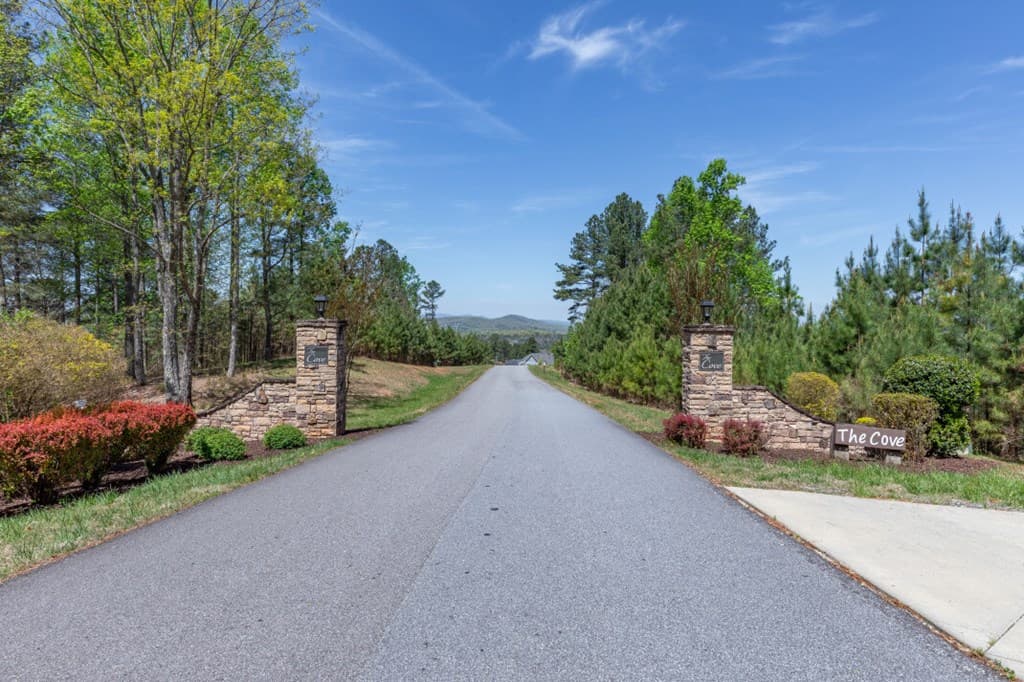Lot 253 The Cove @ 1300, Blairsville GA 30512 - Photo
