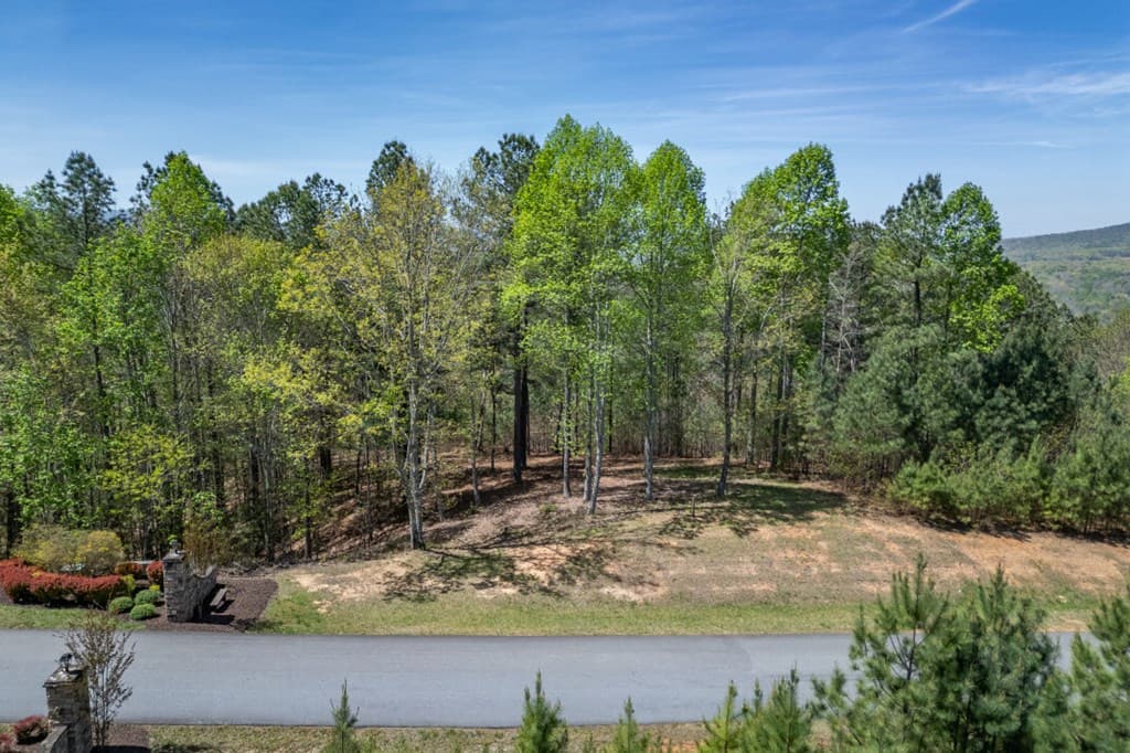 Lot 253 The Cove @ 1300, Blairsville GA 30512 - Photo