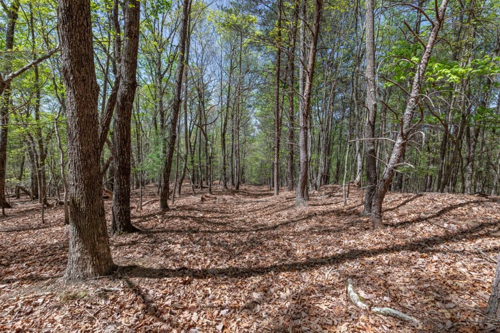 Lot 253 The Cove @ 1300, Blairsville GA 30512 - Photo