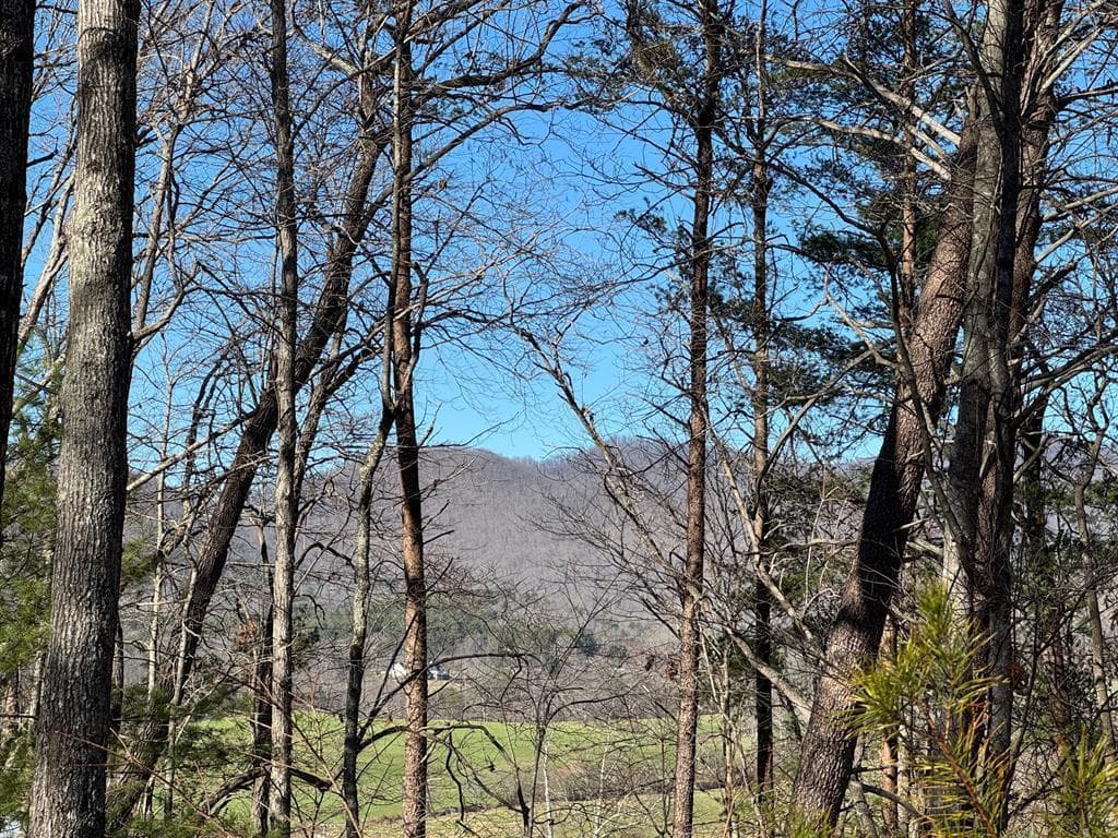 74 Timber Lane, Blairsville GA 30512 - Photo