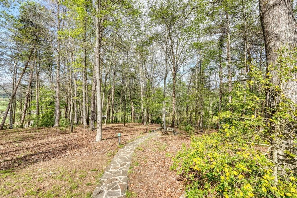 74 Timber Lane, Blairsville GA 30512 - Photo