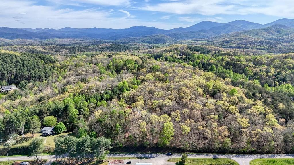 74 Timber Lane, Blairsville GA 30512 - Photo