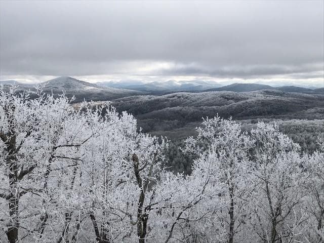 220 Eagle Ridge, Morganton GA 30560 - Photo