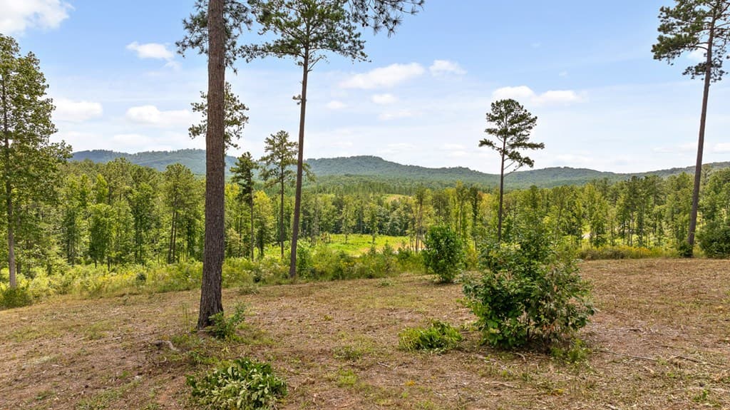 825 Oak Park Drive, Talking Rock GA 30175 - Photo